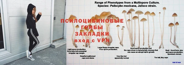 крисы Краснослободск