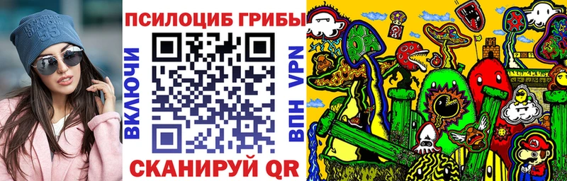 Купить закладки  Ельня  Галлюциногенные грибы Psilocybe 